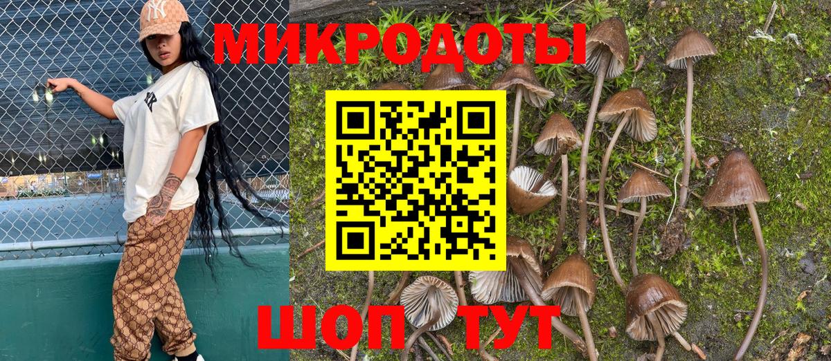Псилоцибиновые грибы MAGIC MUSHROOMS Кохма
