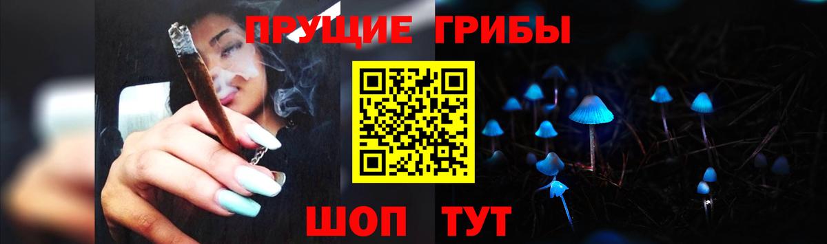 Кохма  Галлюциногенные грибы Psilocybe  Вход с VPN 